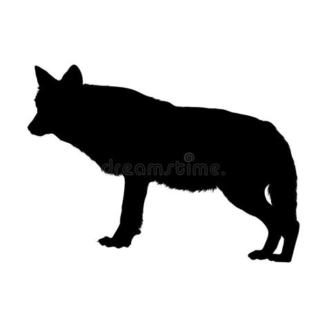 Standing Red Wolf Side View Silhouette. Good To Use for Element Print