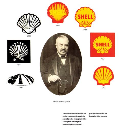 Shell Symbol Evolution Symbols Evolution Logo