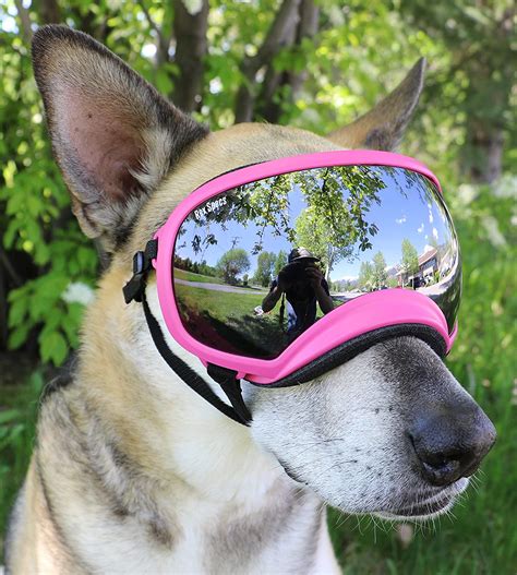 Rex Specs Dog Goggles Eye Protection For The Active Dog Pet Supplies