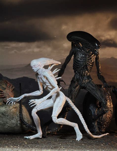 Covenant #xenomorph #neomorph #engineer #prometheus #alien. Massive Photo Gallery - Alien: Covenant Products Revealed!