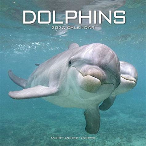 Dolphin Calendar Ocean Calendar Calendars 2021 2022 Wall