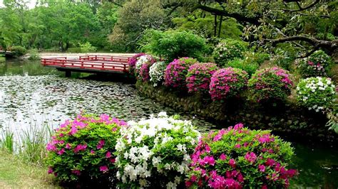 🥇 Water Japan Flowers Japanese Gardens Lily Pads Bushes