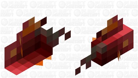 Minecraft Tropical Fish Png