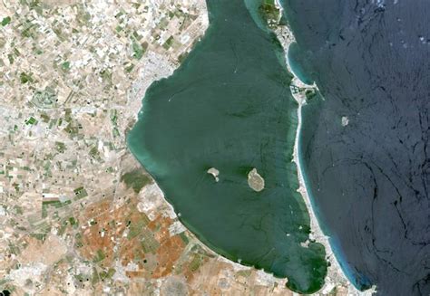 Cerdá citado a declarar en octubre por la contaminación del Mar Menor