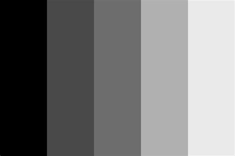 Ash And Charcoal Color Palette