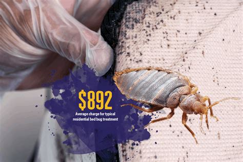 2020 State Of The Bed Bug Control Market Treatments Not One Size Fits