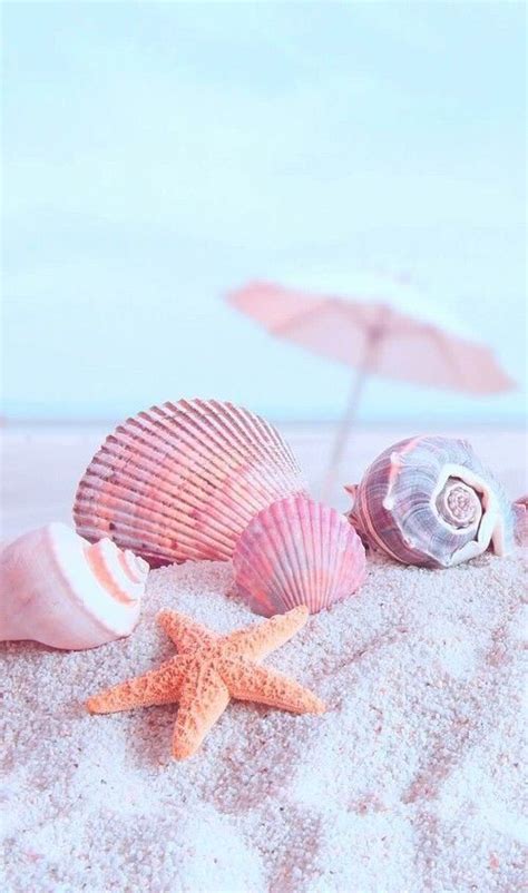 Beach And Shells Image Summer Wallpaper Beach Wallpaper Beautiful