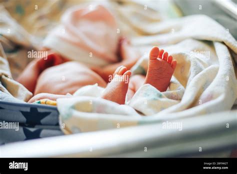 Newborn Baby In Hospital Room Infant Sleeping In Bedside Bassinet
