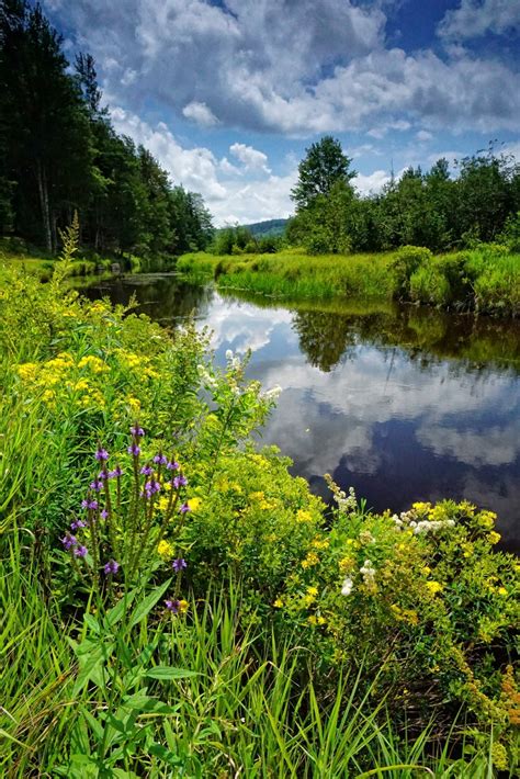 Discover West Virginia Back To The Blackwater River Trail Canaan Valley