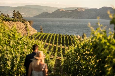 A Taste Of Bcs Wine Country • British Columbia Magazine