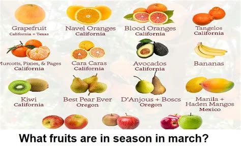 What Fruits Are In Season In March