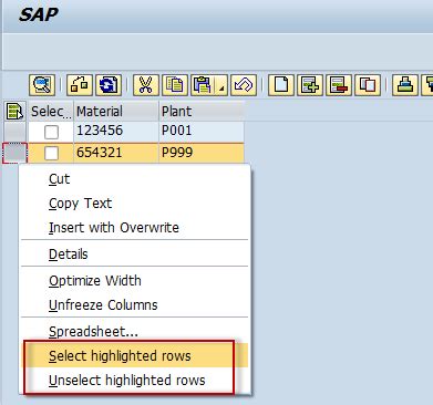 ABAP ALV Context Menu Keep Row Selection After A Filter Is Applied Spider S Web