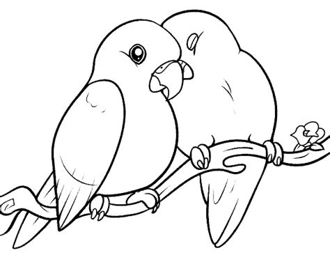 Download Gambar Untuk Mewarnai Burung Love Bird Mewarnai Gambar