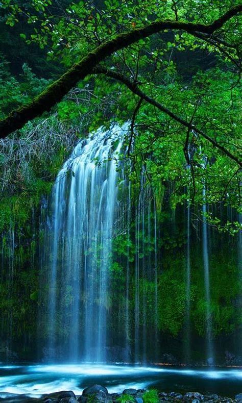 Live Waterfalls Wallpapers With Sound Download Best Hd Wallpaper