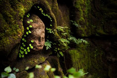 Hidden Treasures Of Angkor Cambodia Images Angkor Photography