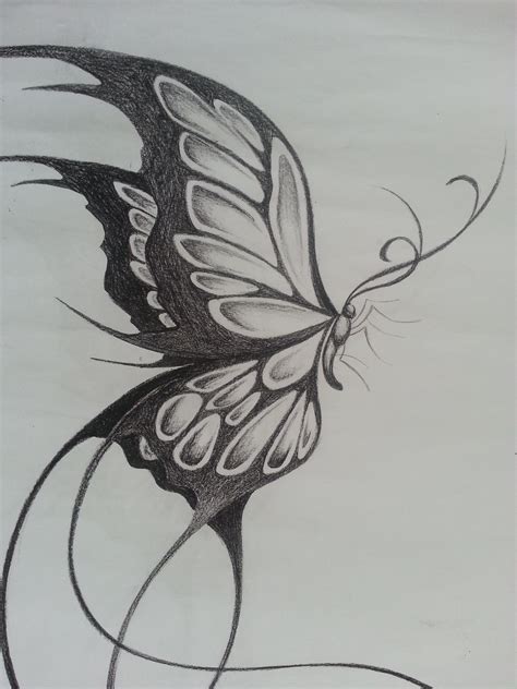Butterfly Sketch New Butterfly Drawing Pencil Pencil Sketch Butterfly