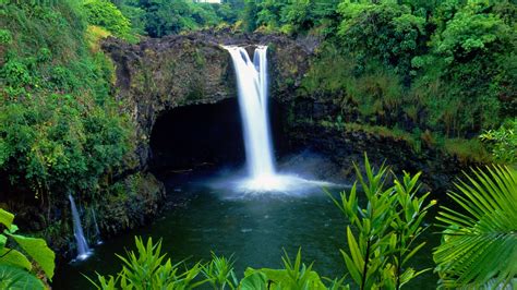 Wallpaper Landscape Forest Waterfall Nature Plants Jungle