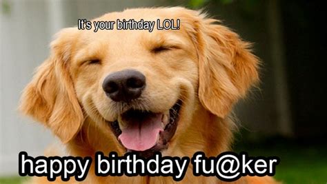 Most Funniest Birthday Memes Lets Insult People