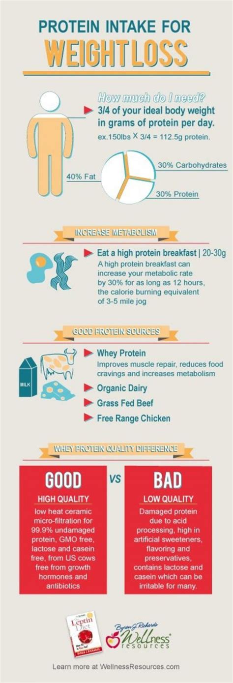16 Protein Intake 37 Simple Weight Loss Infographics