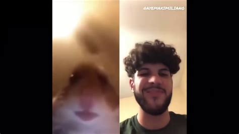 Hamster Facetime Meme Compilation Youtube