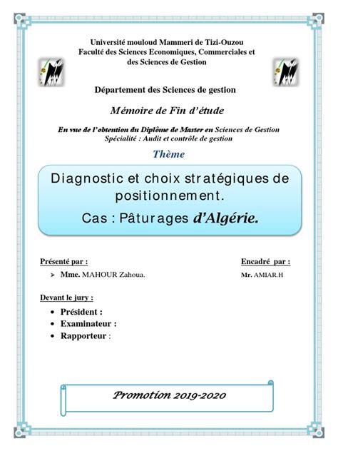 Mémoire Final Pdf