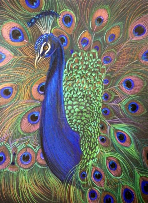 If you are looking for design peacock feather pencil drawing you've come to the right place. Pin on fairy