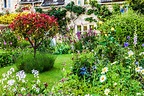 How to create a classic English country cottage garden: What to plant ...