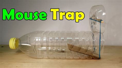 How To Make A Mouse Trap At Home Plastic Bottle Homemade Mouse
