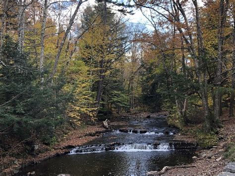 On Prince Brook Land For Sale In Osceola Lewis County New York