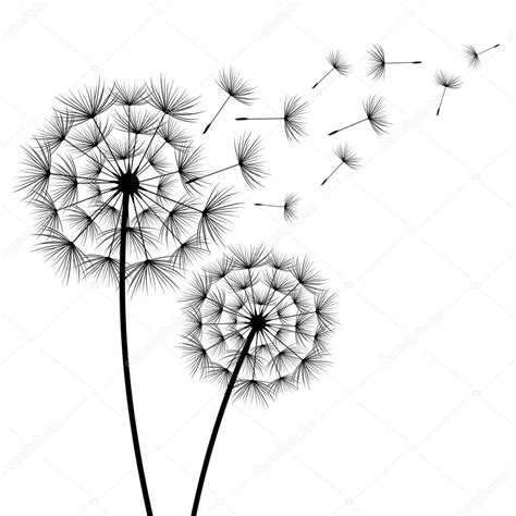 Two Flowers Dandelions Silhouette — Stock Vector © Silvionka 141388628