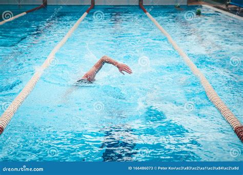 Fit Swimmer Training In The Swimming Pool Professional Male Swimmer