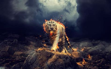 Download Wallpapers Panthera Tigris Tigris Art White Tiger Predators
