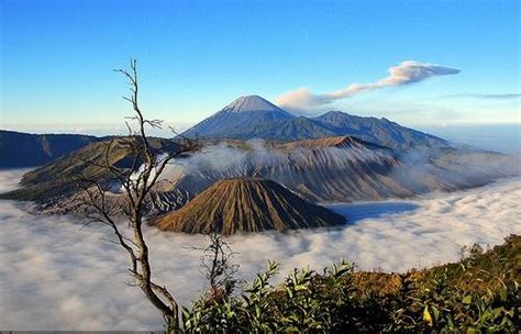 Taman Nasional Bromo Tengger Semeru Jawa Timur