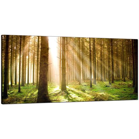 Modern Canvas Prints Of Forest Trees For Your Dining Room