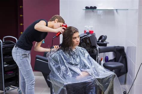 Professional Hairdresser Drying Client Hair Stock Image Image Of