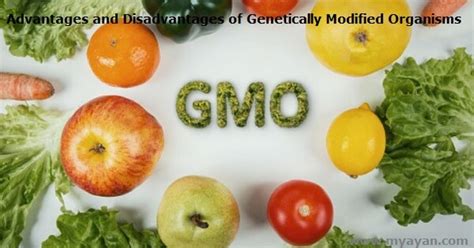 Advantages And Disadvantages Of Genetically Modified Organisms