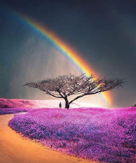 Awesome Colourful Nature On Instagram Follow Surrealworldofficial