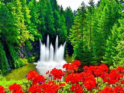 Fountain Waterfall Desktop Nature Backgrounds Wallpapers Forest
