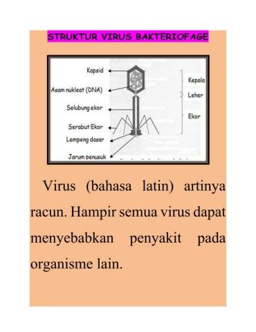 Struktur Virus Bakteriofage