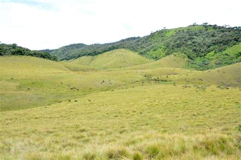 Horton Plains Meadows In Sri Lanka Stock Image Image Of Highland