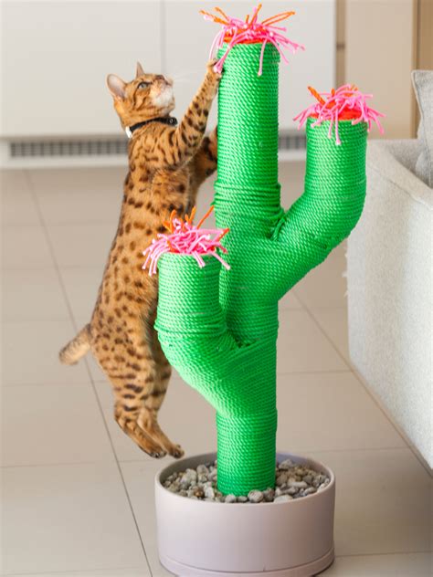 1 x cat scratch cactus plantlike color fits any room or décor. Top 5 Fun and Quirky Pet Accessories For The Home