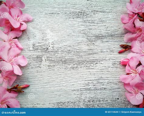 Pink Flower Border And Frame On White Wooden Background Stock Photo
