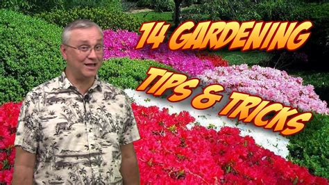 14 Gardening Tips Tricks And Ideas Youtube