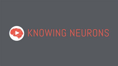 Knowing Neurons YouTube - Knowing Neurons