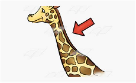 Giraffe Neck Clipart Clip Art Library