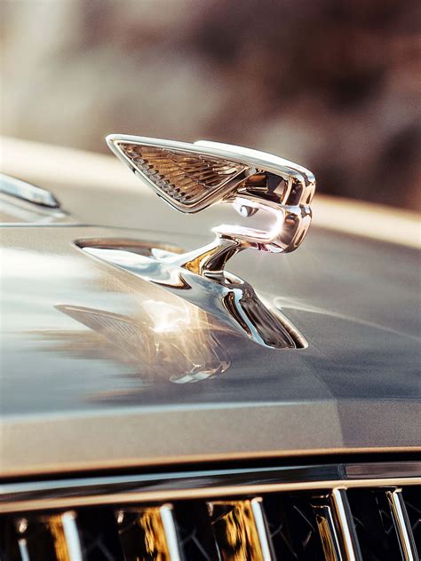 Browse the spurs wallpaper tags to select the best wallpaper for your desktop or mobile background. Bentley Flying Spur 2020 HD Wallpapers - Wallpaper Cave