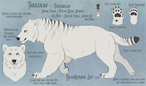 New Polartiger Reference By Bear Hybrid Fantasy Creatures Art