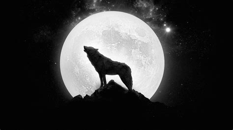 We have an extensive collection of amazing background images carefully chosen by our community. Wolf Moon Wallpapers - Top Free Wolf Moon Backgrounds ...