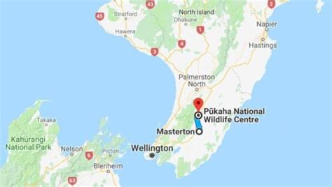 Pūkaha National Wildlife Centre Mt Bruce Wairarapa Aotearoa NZ