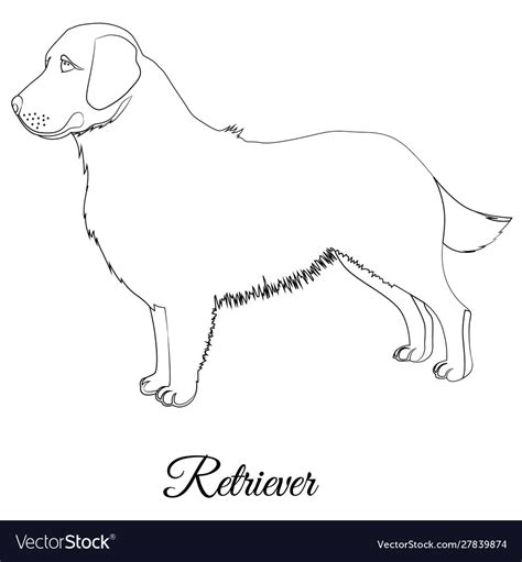Golden Retriever Dog Outline Royalty Free Vector Image